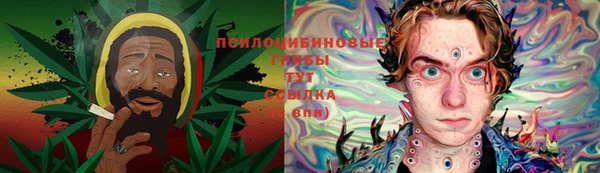 apvp Алексин