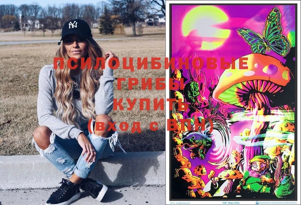 apvp Алексин