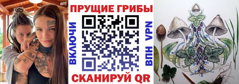 Галлюциногенные грибы GOLDEN TEACHER  купить закладку  Енисейск 